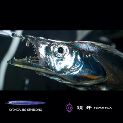 ダイワ(DAIWA) タチウオ 鏡牙ジグ セミロング 80g パラレルホロシャドーピンクゼブラ ルアー - Image 2