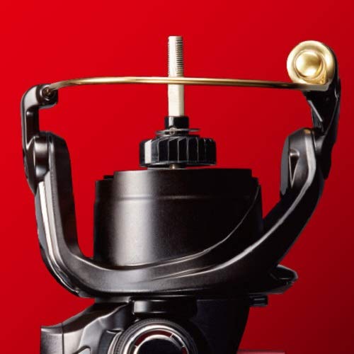 シマノ(SHIMANO) スピニングリール エギング 19 セフィア SS C3000SHG - Image 6