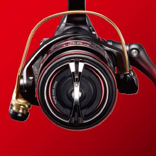 シマノ(SHIMANO) スピニングリール エギング 19 セフィア SS C3000SHG - Image 7