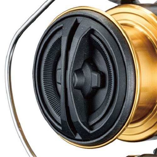 シマノ(SHIMANO) スピニングリール 17 セドナ C5000XG ジギング 初心者向け - Image 3