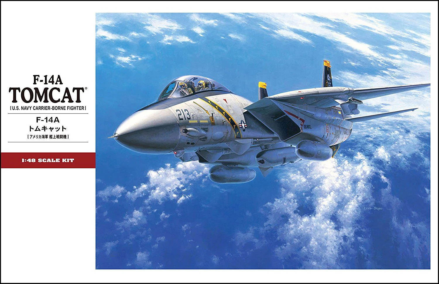 Hasegawa 1/48 F-14A Tomcat