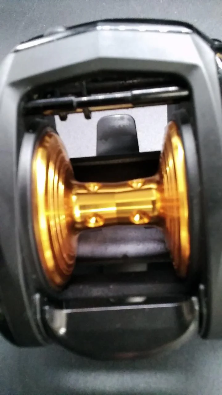 AbuGarcia Bait reel OCEANFIELD BG - Image 6