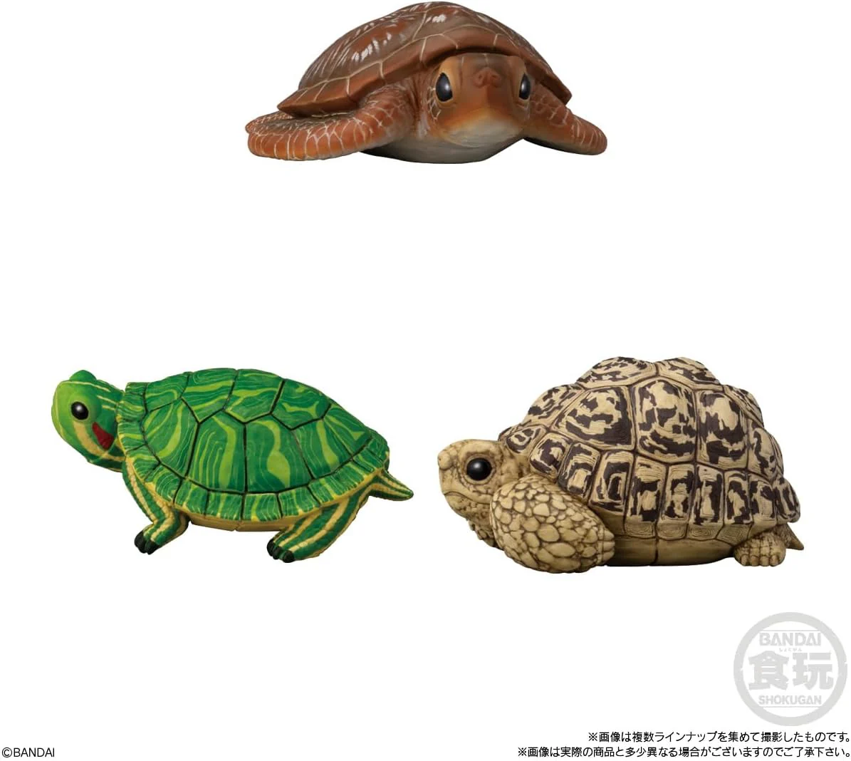 Bandai Tenori Friends 11 -Reptiles/Amphibians- (Set of 12) - Image 3
