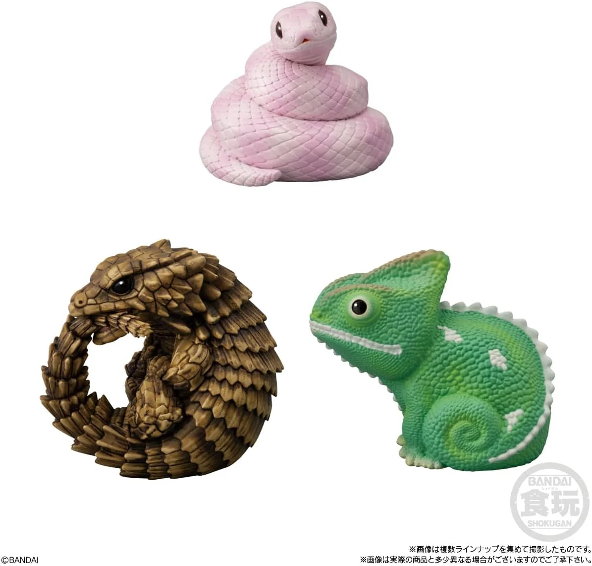 Bandai Tenori Friends 11 -Reptiles/Amphibians- (Set of 12) - Image 4
