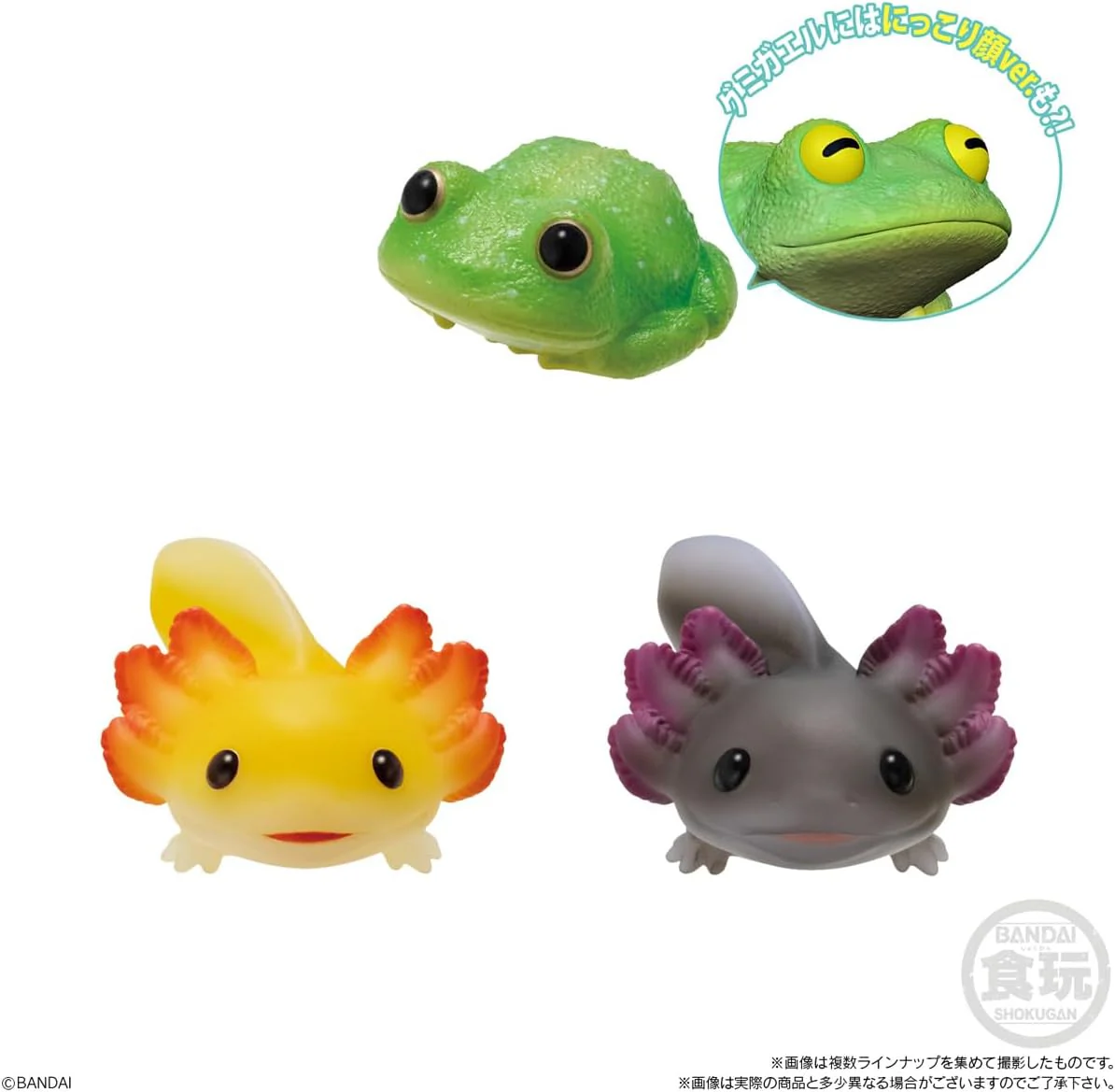 Bandai Tenori Friends 11 -Reptiles/Amphibians- (Set of 12) - Image 5