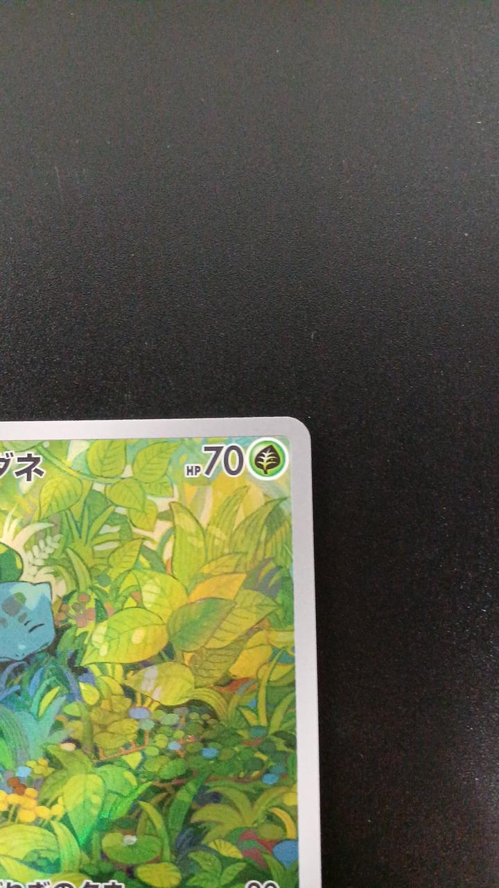 Bulbasaur 166/165/SV2A/B AR (Art Rare) - Image 3