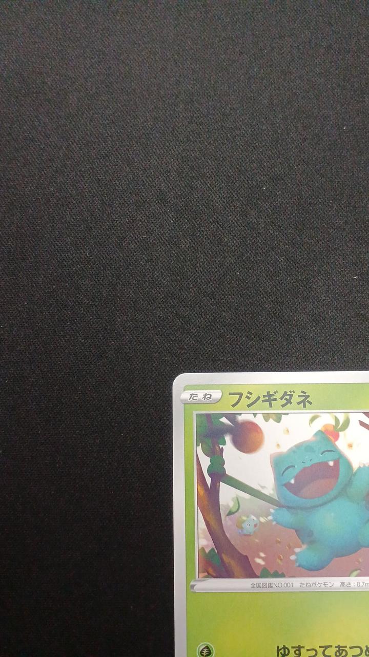 Bulbasaur - Image 2