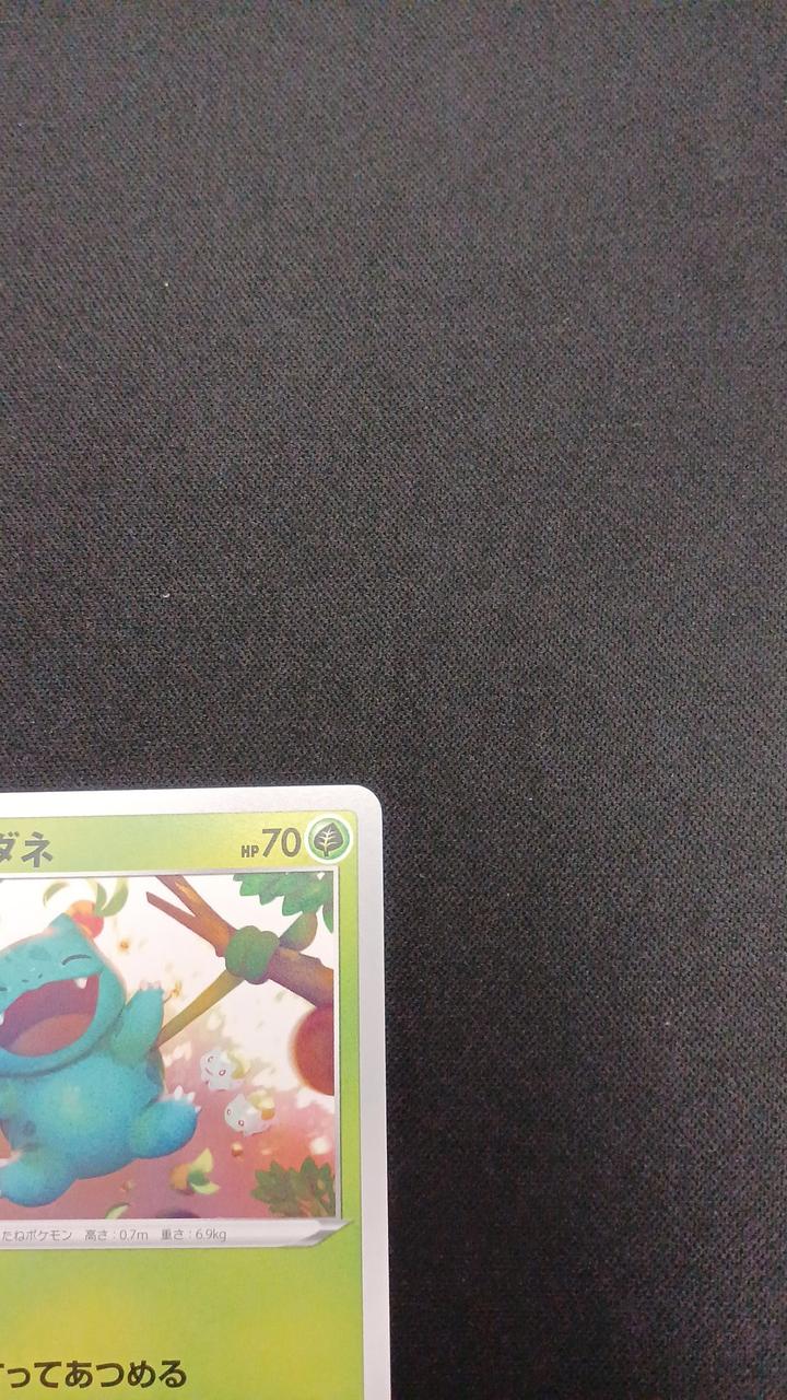 Bulbasaur - Image 3