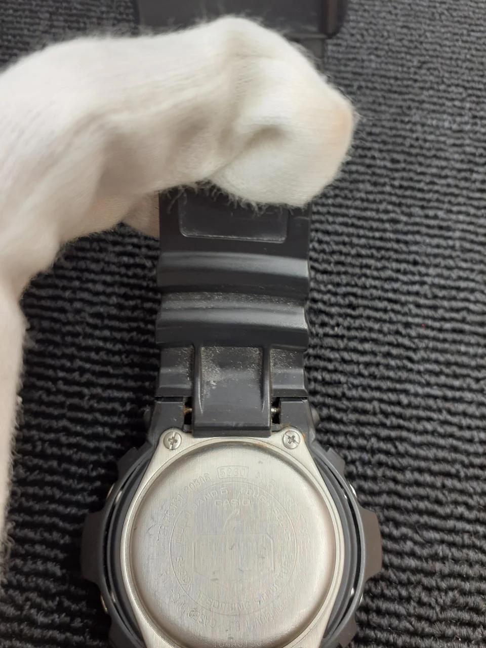 CASIO G-SHOCK AWG-M100 - Image 10