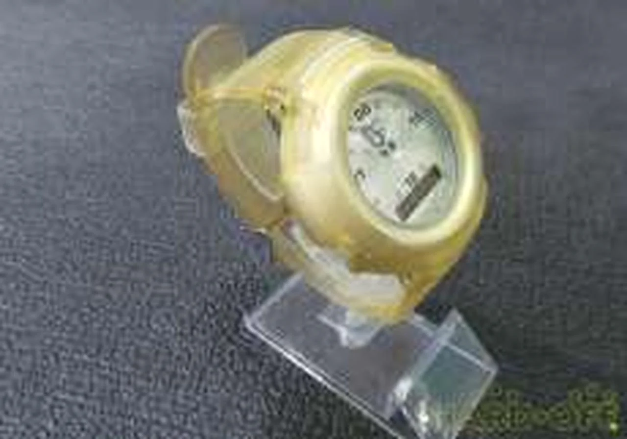 CASIO PSC (Polar Science Center) Official AW-500NS - Image 2