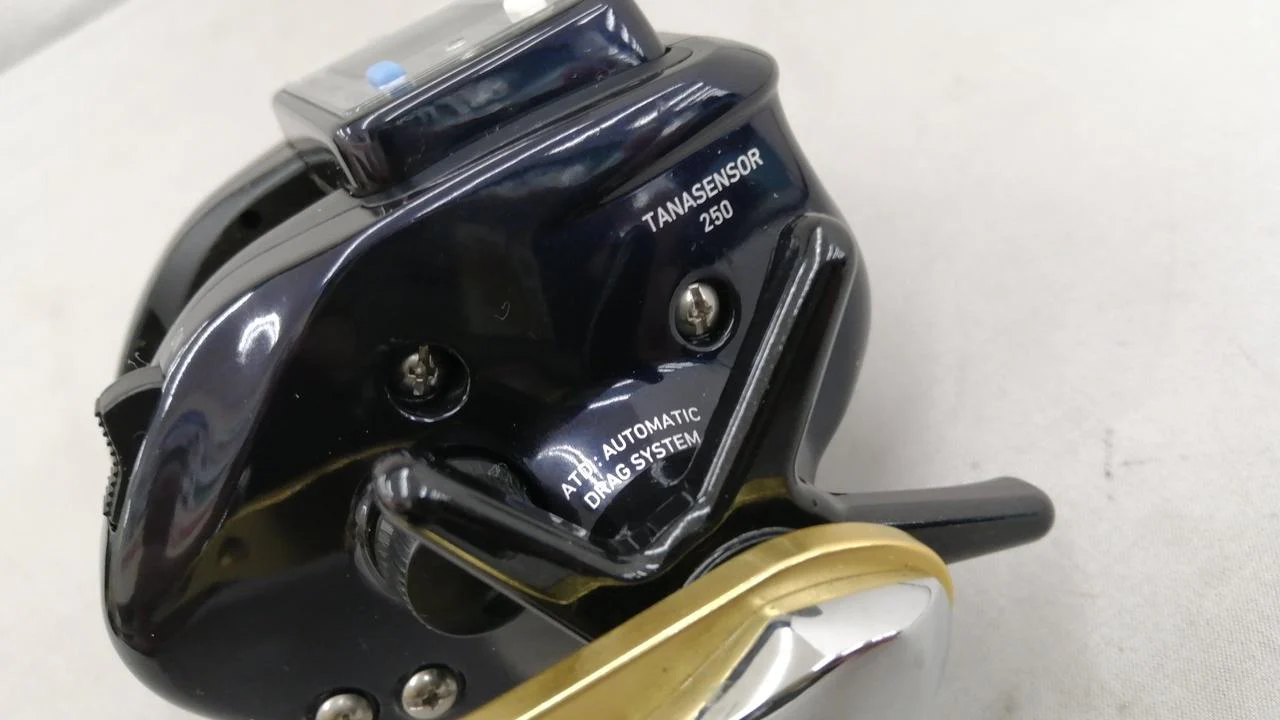 DAIWA 17 Tanasensor 250 - Image 6
