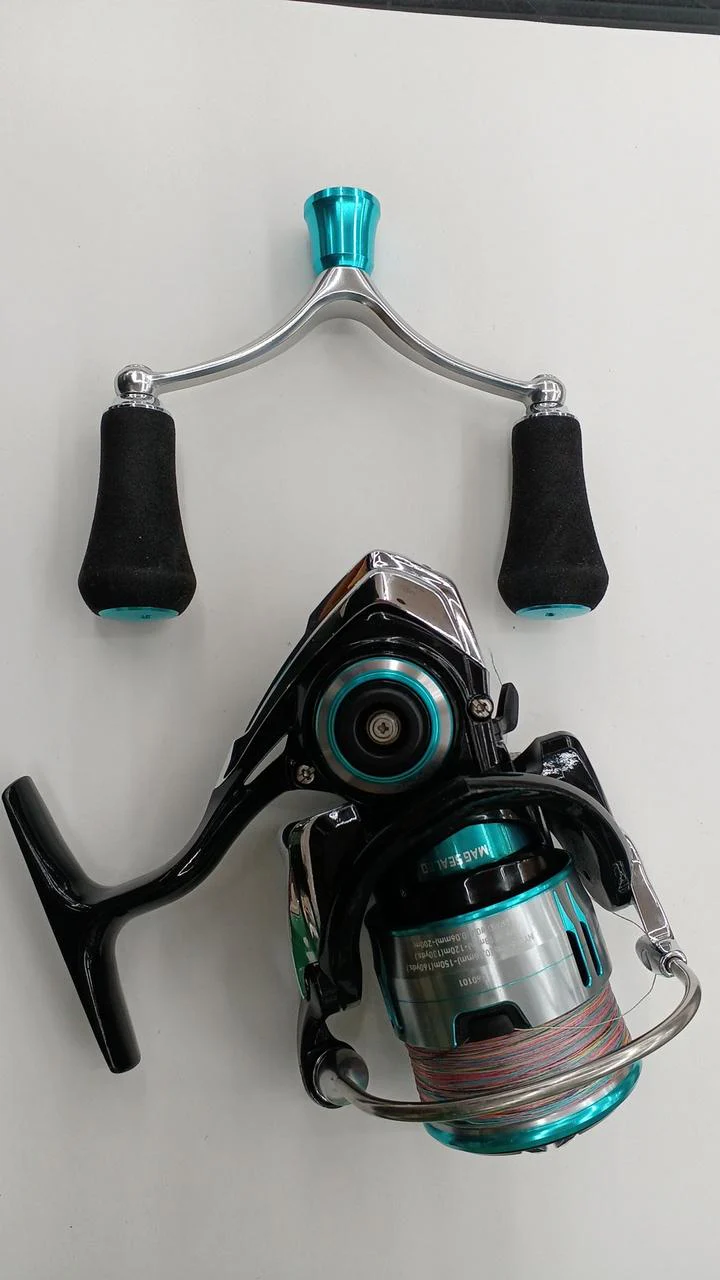 DAIWA 19 Emeraldas LT 2500S-H-DH