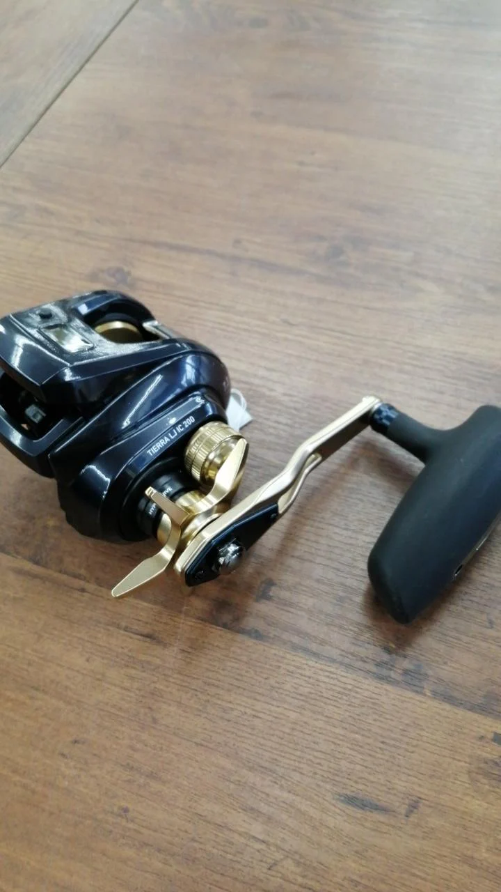 DAIWA Baitcasting Reel 23 TIERRA LJ IC 200HL