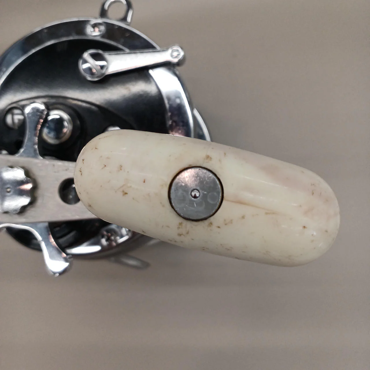 DAIWA Conventional Reel SeaLine 6/0 - Image 9