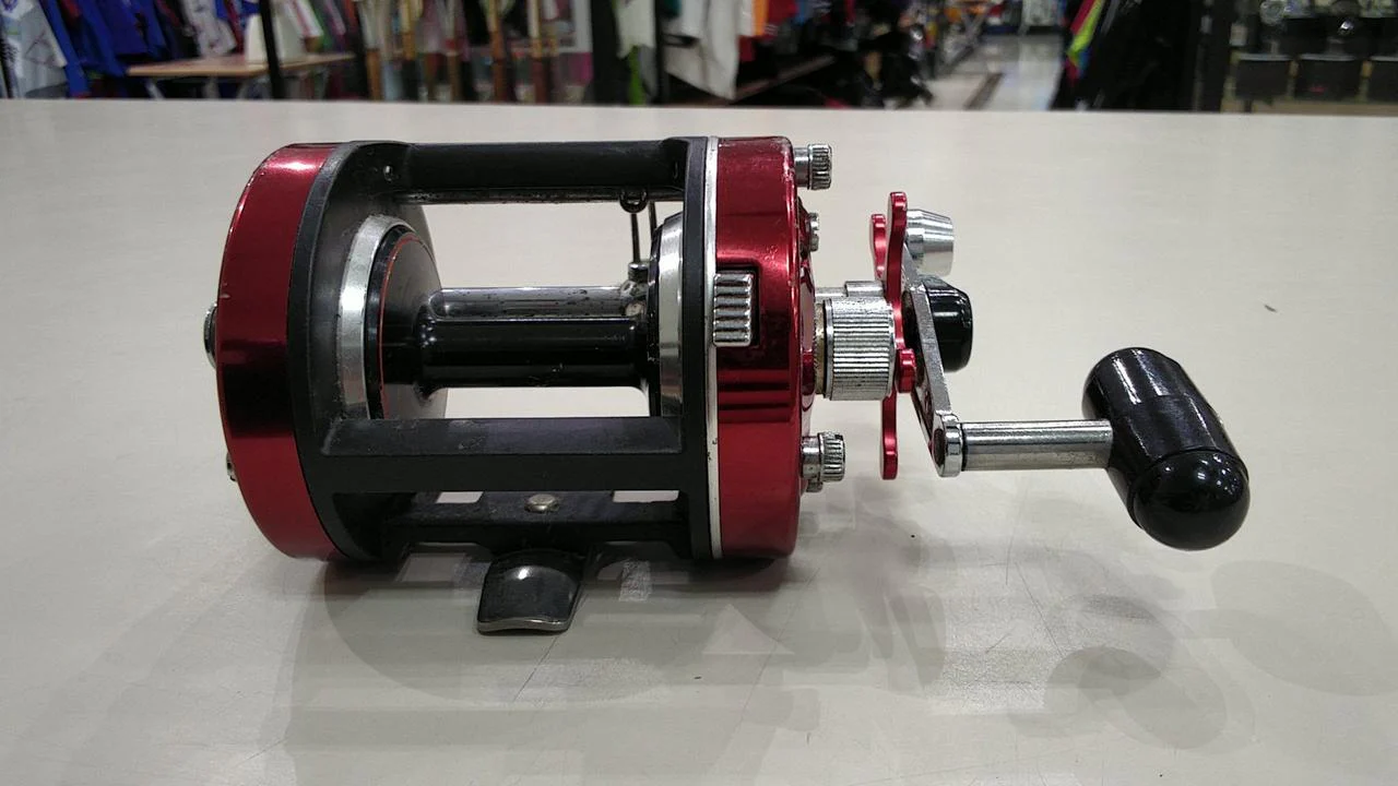 DAIWA Electric/Baitcasting Reel MILLIONAIRE 6RM - Image 11