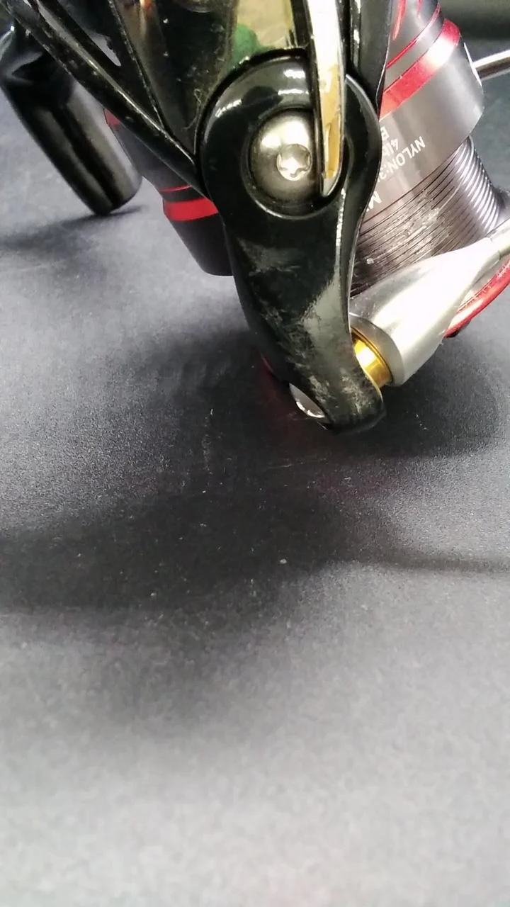 DAIWA Spinning Reel 18 Gekkabijin MX LT2000S-P - Image 7