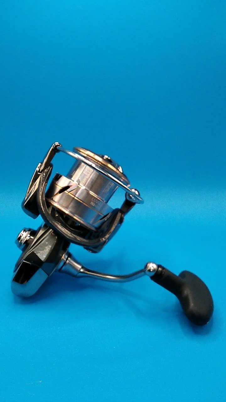 DAIWA Spinning Reel 20 LUVIAS LT4000-CXH 00060212