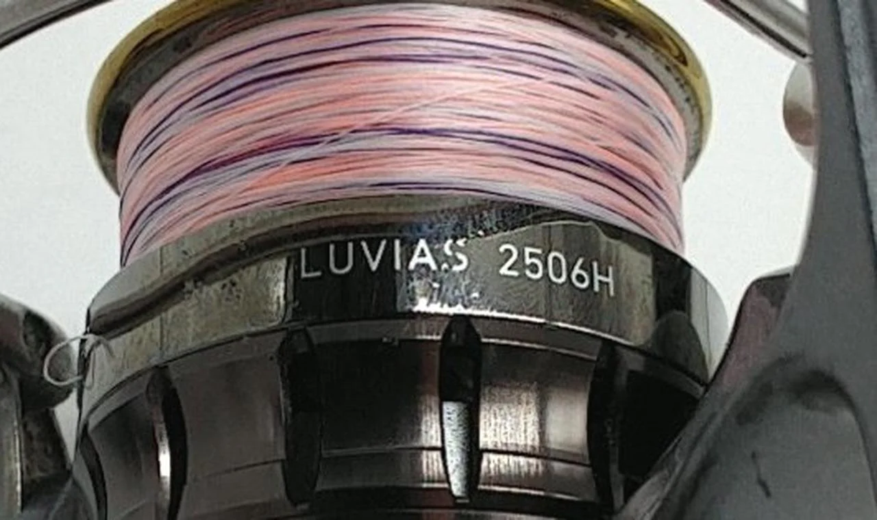 DAIWA Spinning Reel LUVIAS 2506H - Image 13