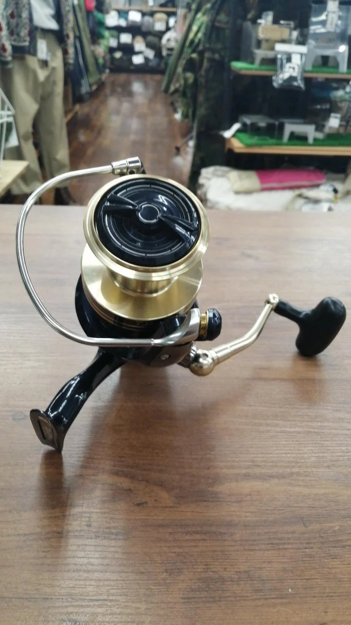 DAIWA Spinning Reel WINDCAST 6000