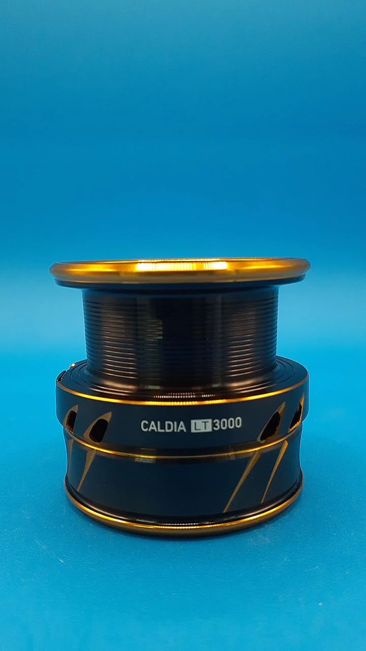DAIWA Spool CALDIA LT3000 - Image 2