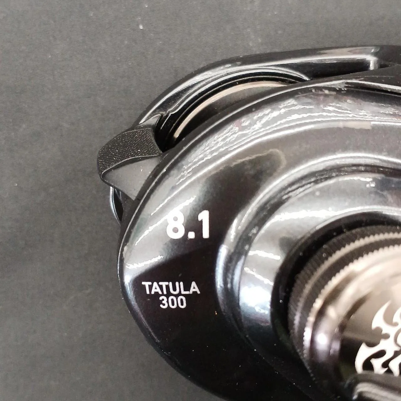 DAIWA TATULA TW300XH TATULA TW300XH - Image 5