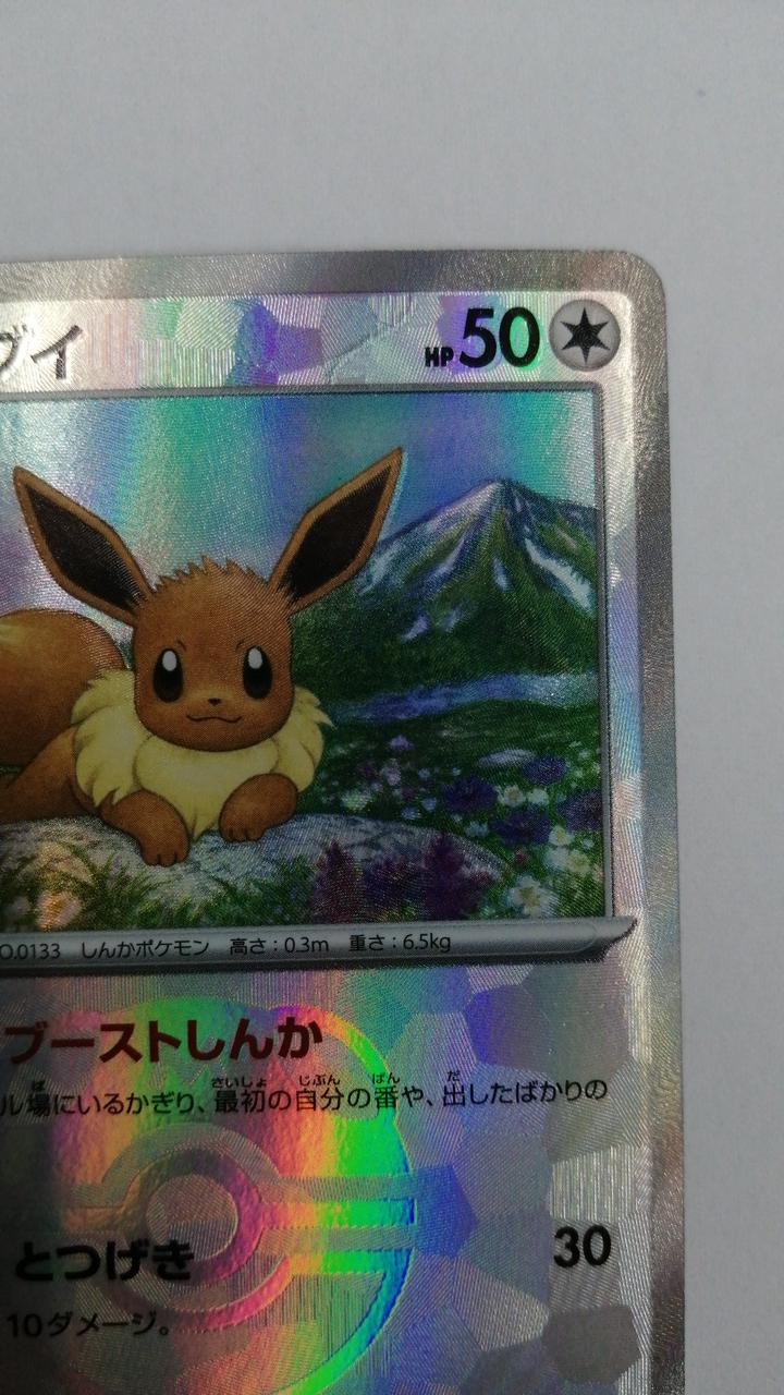Eevee - Image 3