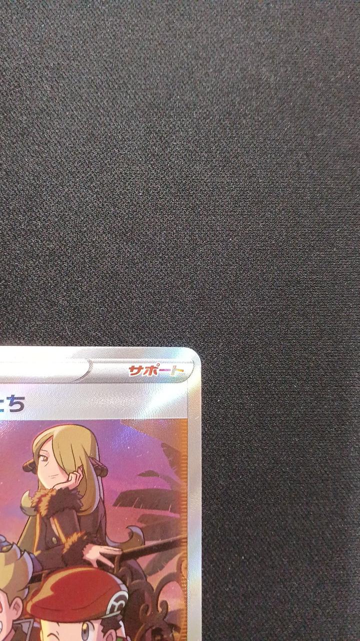 Friends of Sinnoh - Image 3