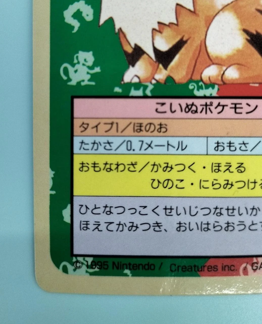 Growlithe 058 - Image 5