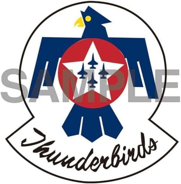 Hasegawa 02495 1/72 F-16C (Block 52) Fighting Falcon Thunderbirds - Image 2