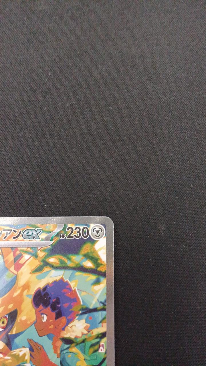 Hop's Zacian ex - Image 3