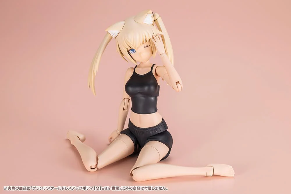 Kotobukiya JK076 Sousai Shojo Teien x Frame Arms Girl Grande Scale Dress-Up Body M with Gourai - Image 16
