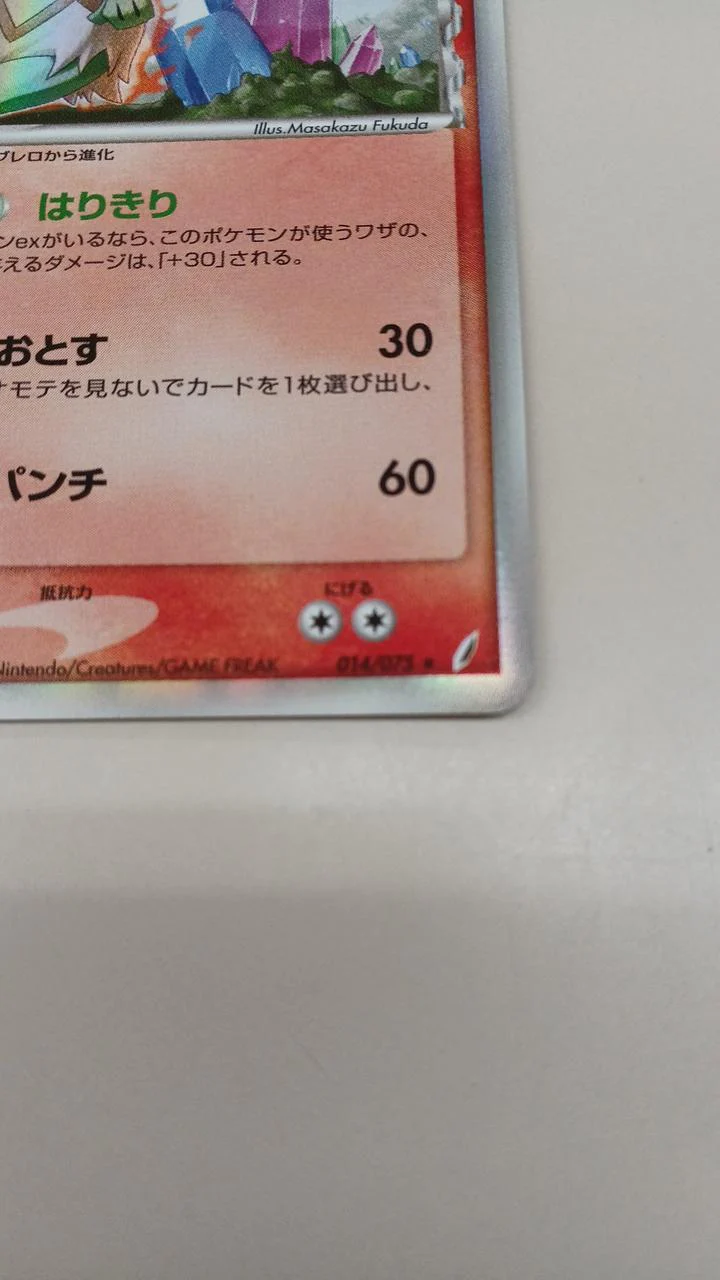 Ludicolo Delta Species - Image 3