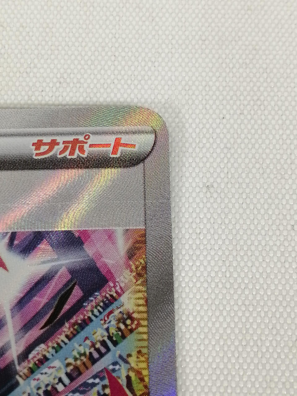 Marnie's Pride (SR) - Image 4