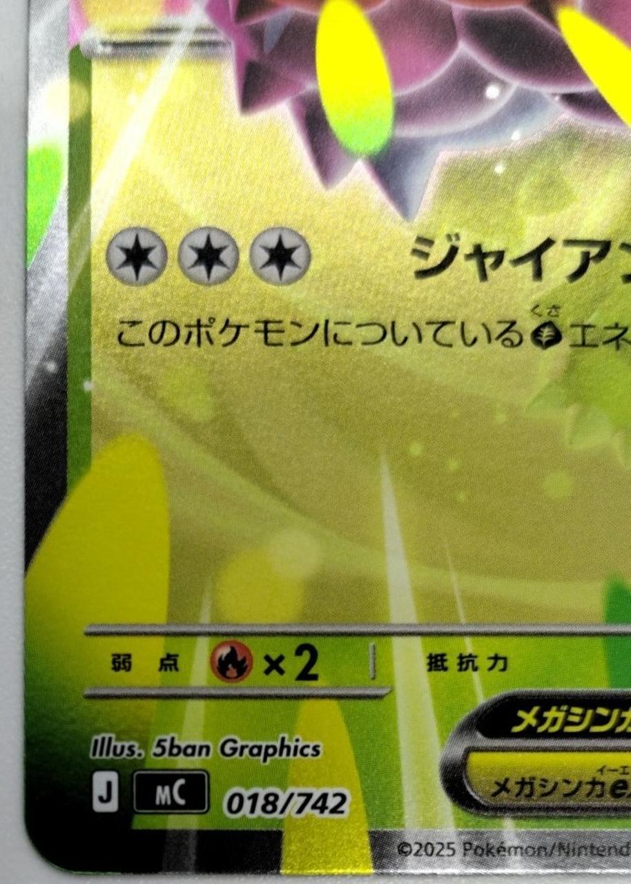 Mega Meganium EX - Image 3