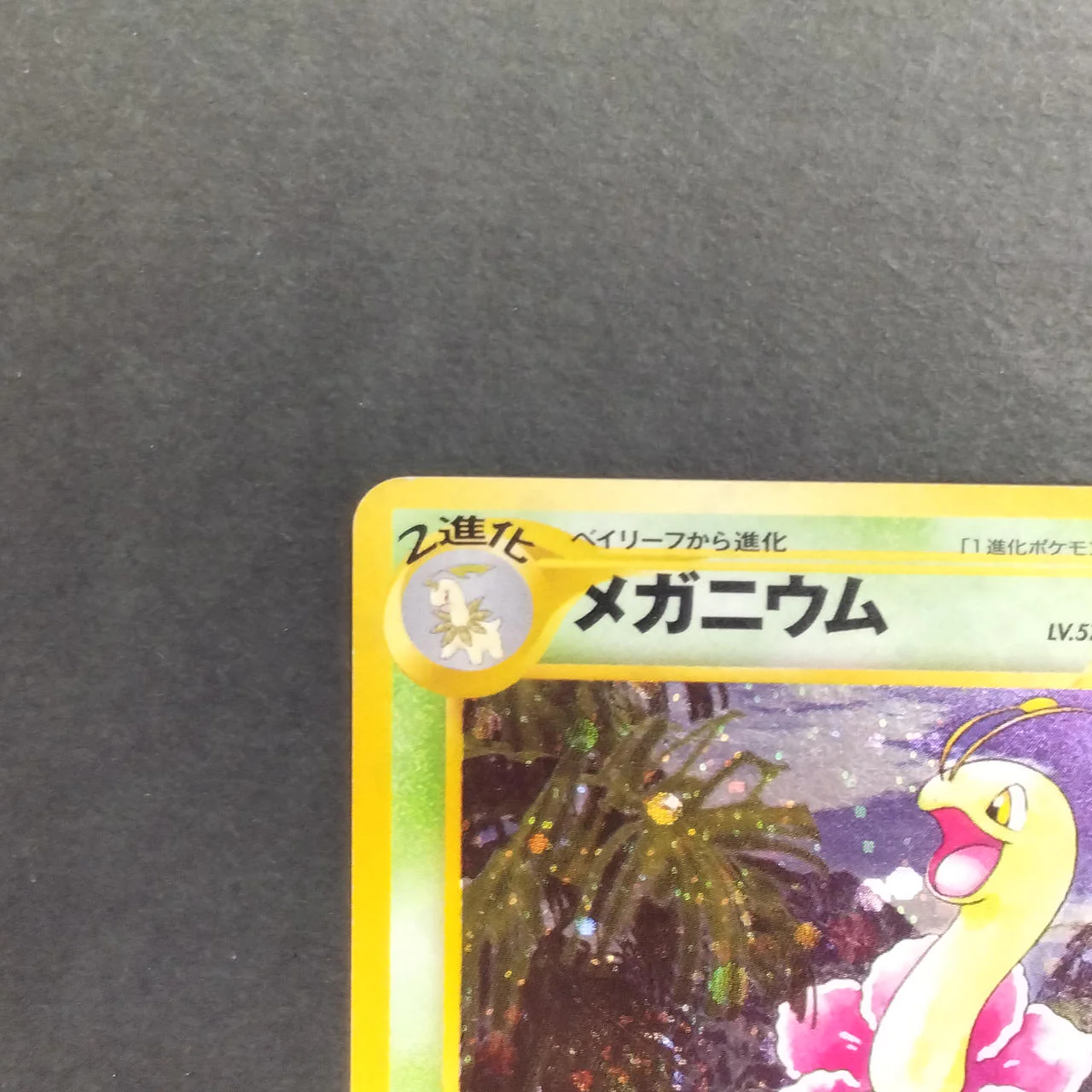 Meganium LV.57 Old Back - Image 2