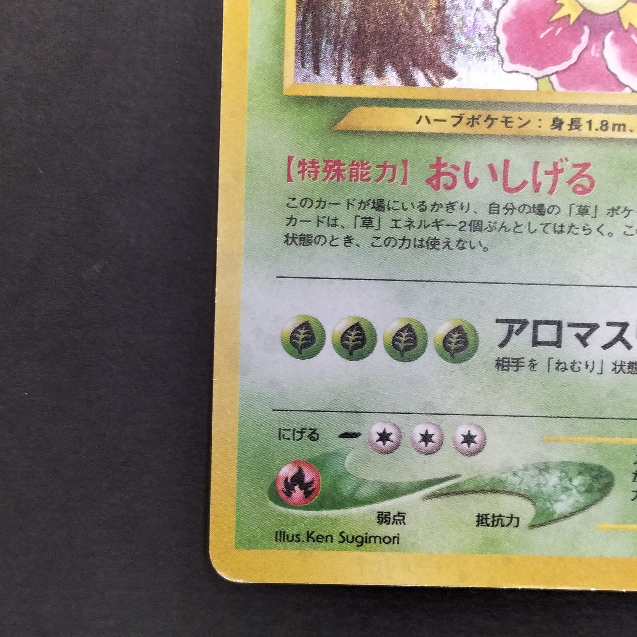 Meganium LV.57 Old Back - Image 4