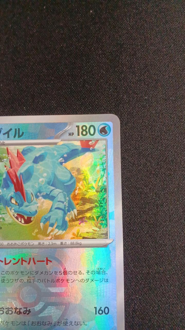 (Mirror) Feraligatr (Master Ball) - Image 3