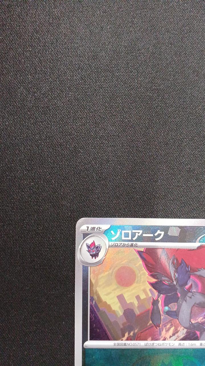 Mirror) Zoroark (Master Ball) - Image 2