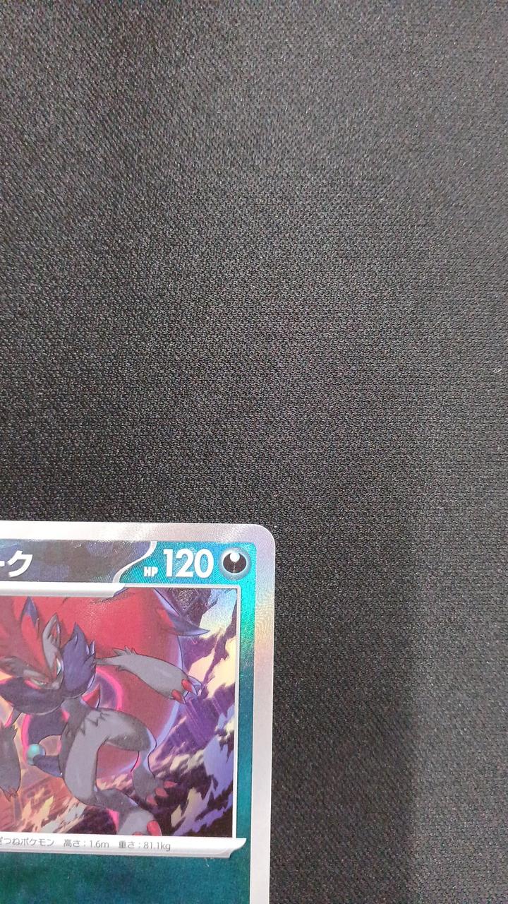 Mirror) Zoroark (Master Ball) - Image 3
