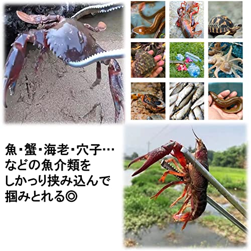 NOELAMOUR フィッシュグリップ カニ用ハサミ 魚掴み器 釣り アウトドア 釣り用品 フィッシング (レッド) - Image 5
