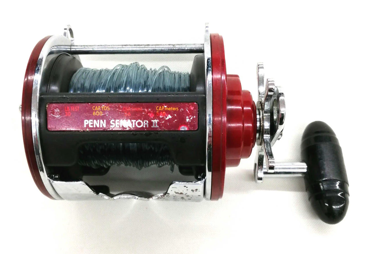 PENN Conventional Reel 113H