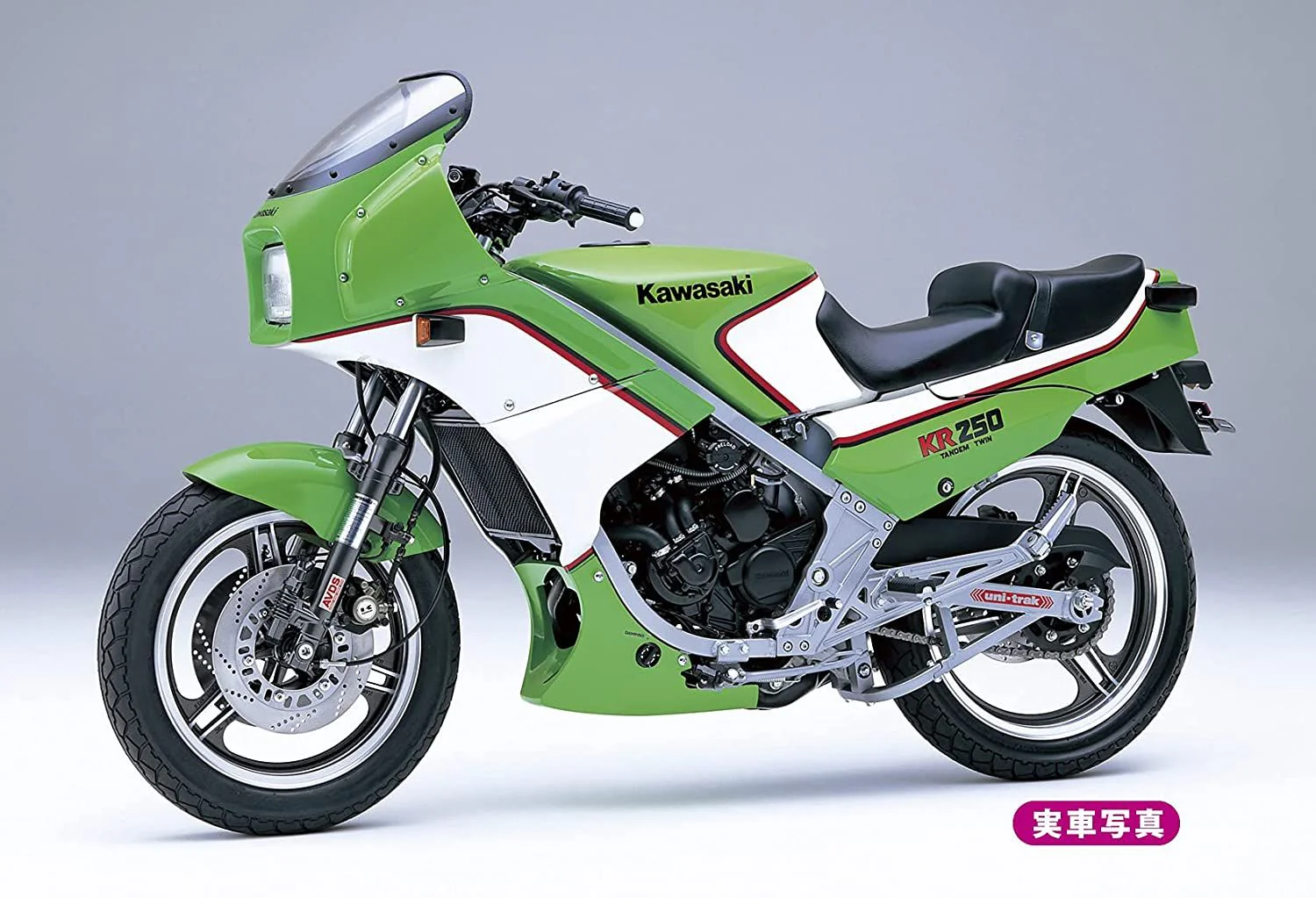 Hasegawa Kawasaki KR250 (KR250A)