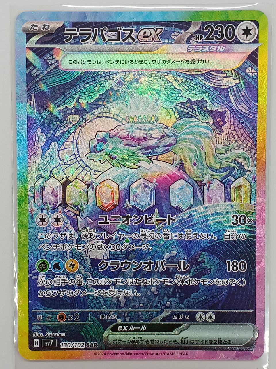 Pokemon Card Terrapagos EX 130/102 SAR