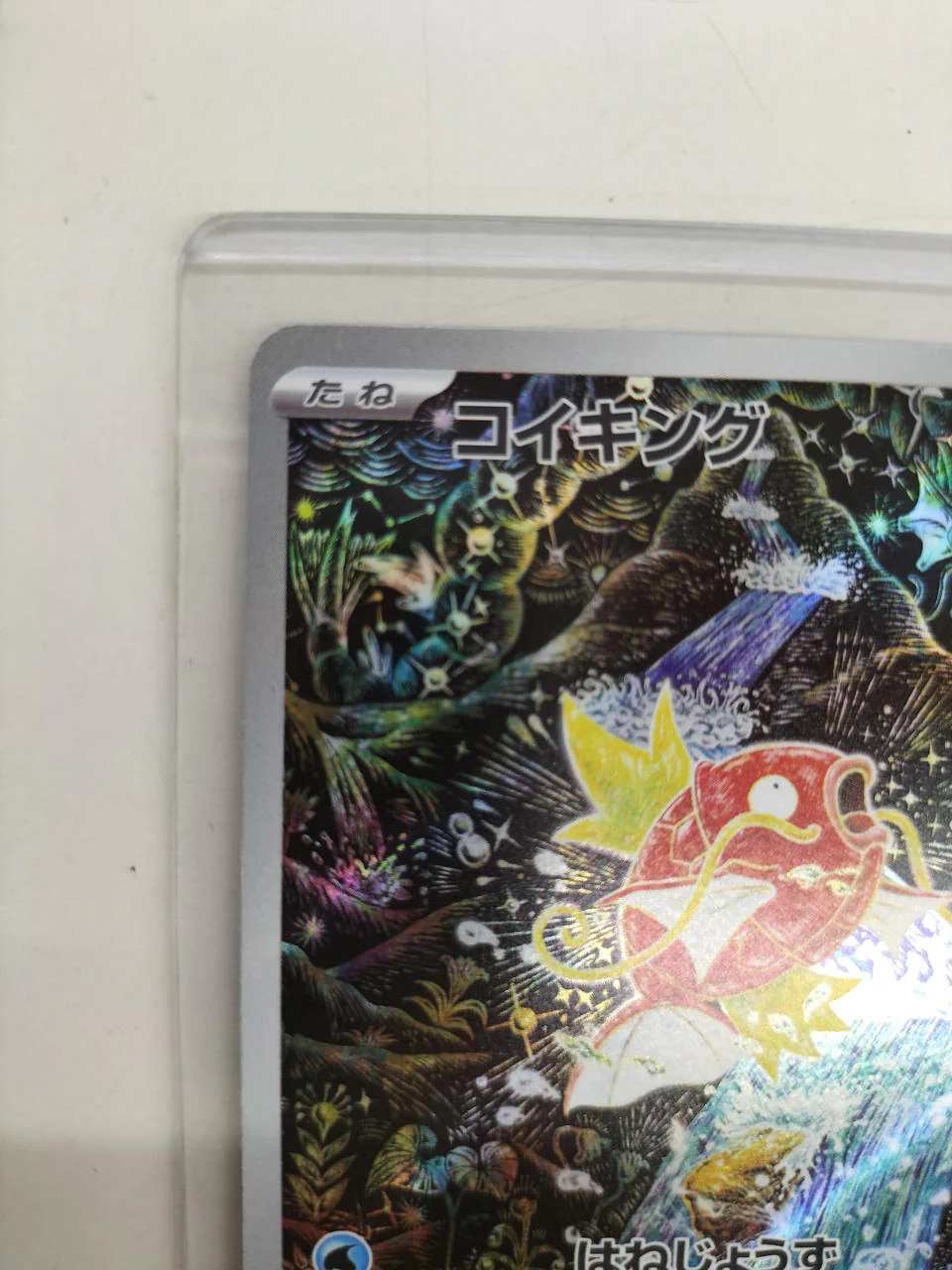 Pokemon Card Magikarp - Image 5