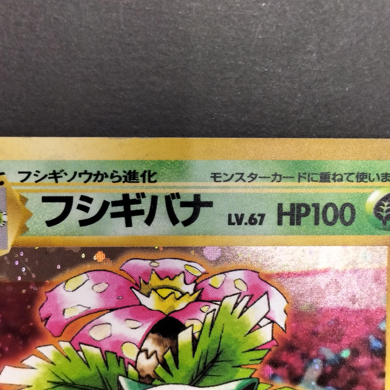 Pokémon Card Bulbasaur Old Back Promo Card Swap Sex - Image 4