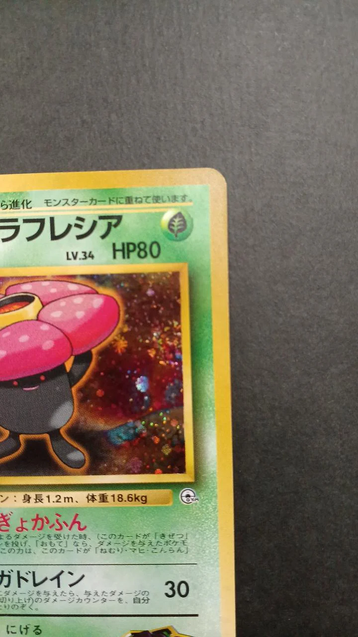 Pokémon Card Erika's Rafflesia Old Back Bougyo Kafun - Image 3