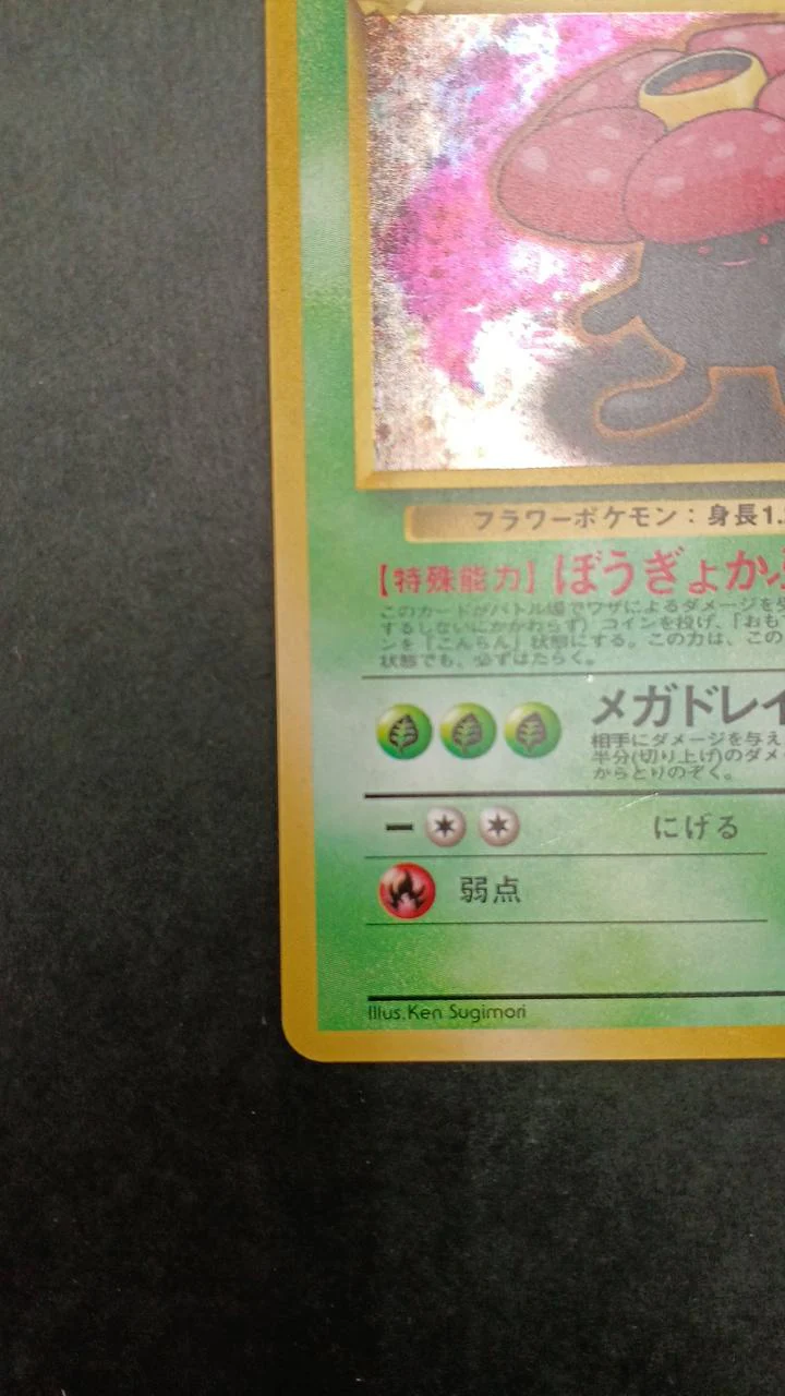 Pokémon Card Erika's Rafflesia Old Back Bougyo Kafun - Image 4