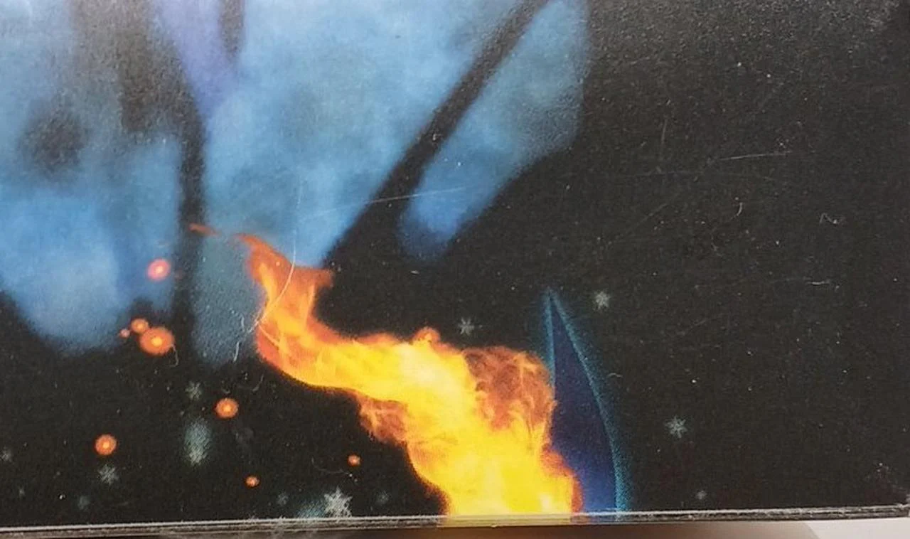 Pokémon Card Game Legendary Flight Deck Case - Image 10