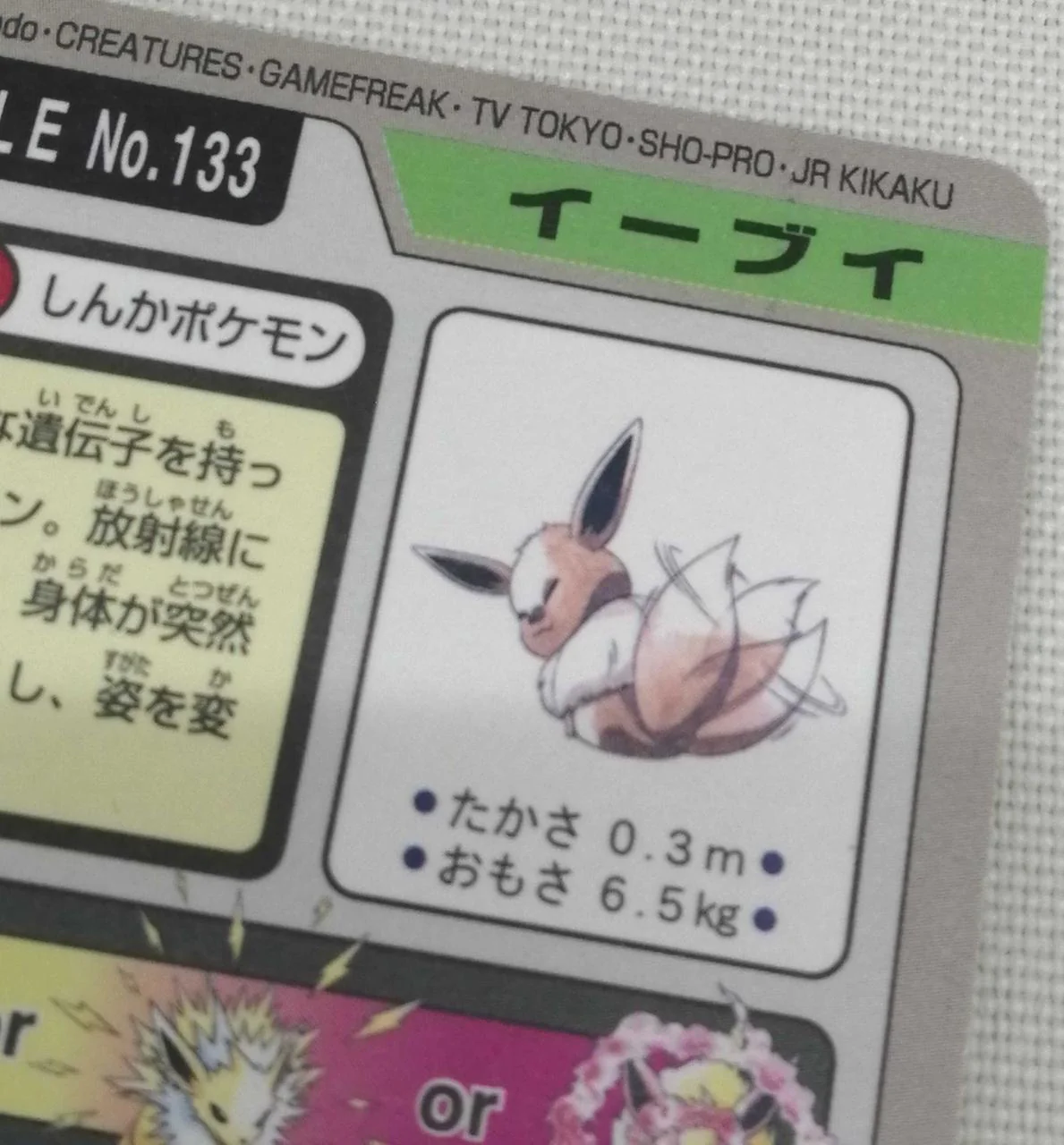 Pokemon Carddass Eevee - Image 7