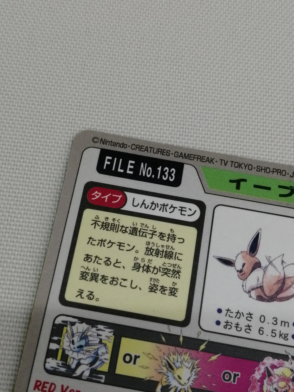 Pokemon Carddass Eevee - Image 8
